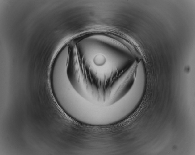 X0000099961472200806201325