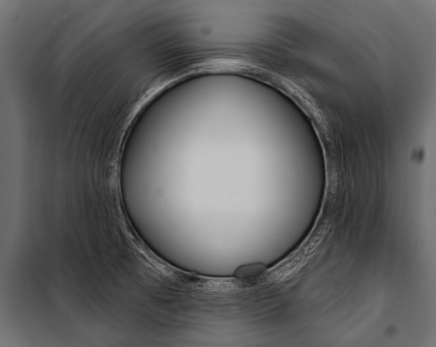 X0000099961473200806201325