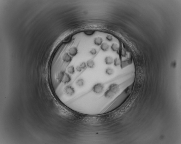 X0000099961474200806201325