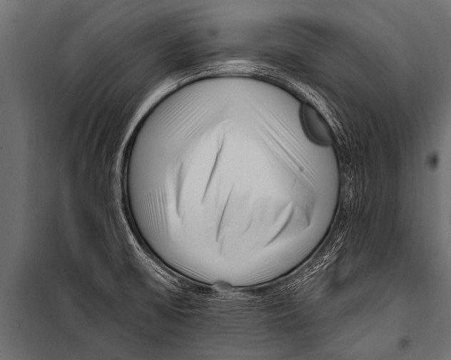 X0000099961475200806201325