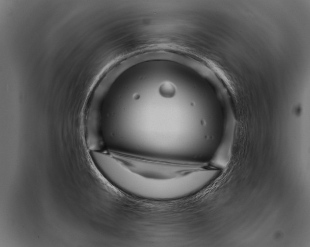 X0000099961476200806201325