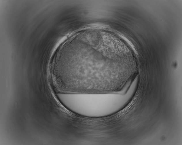 X0000099961477200806201325