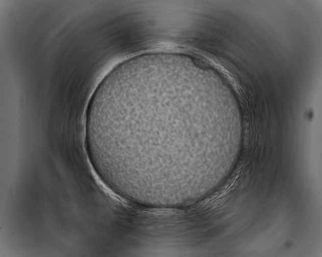 X0000099961479200806201325