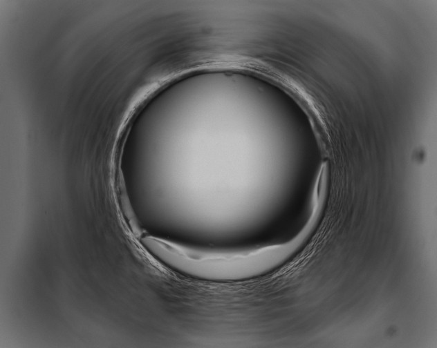 X0000099961480200806201325