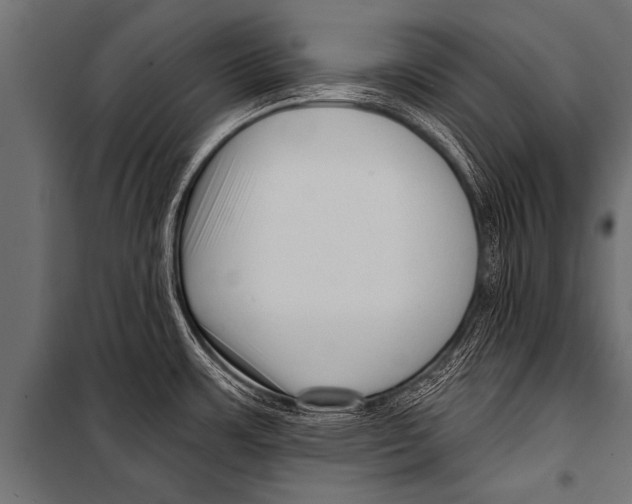 X0000099961483200806201325