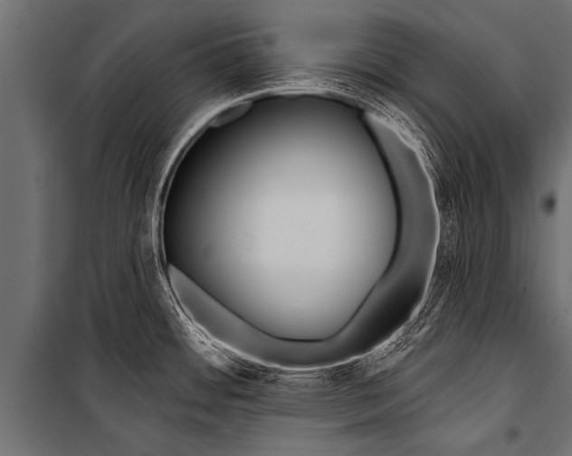 X0000099961484200806201325