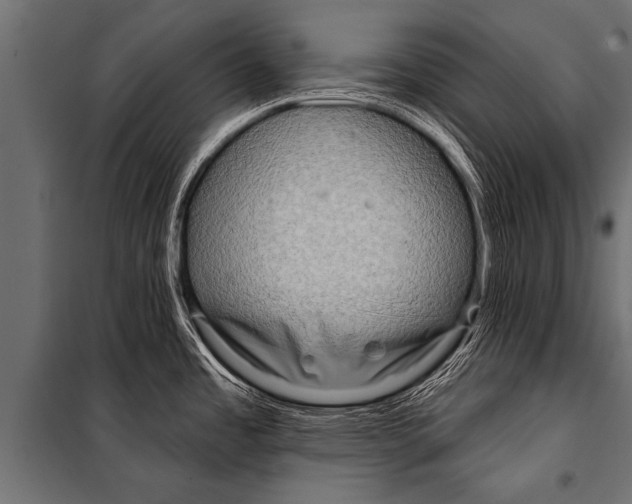 X0000099961485200806201325