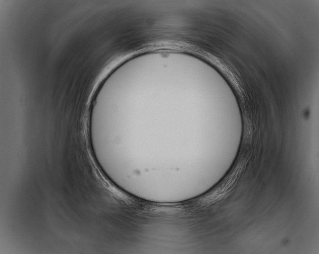 X0000099961486200806201325