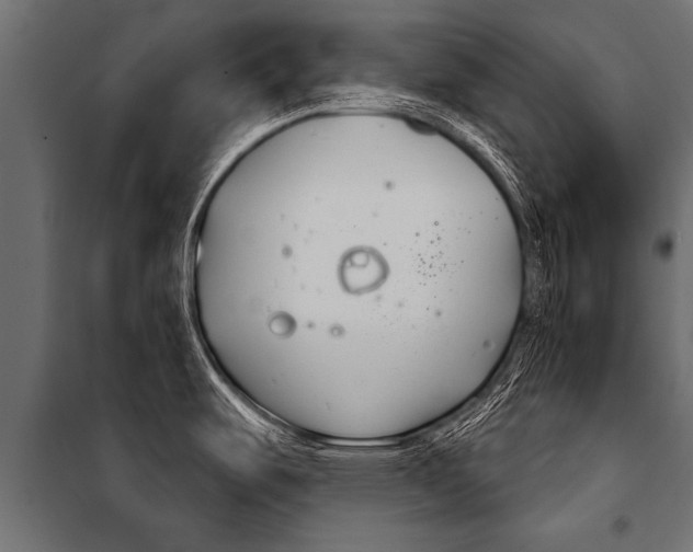 X0000099961487200806201325