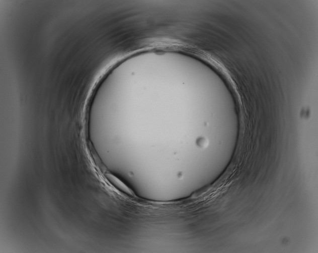 X0000099961488200806201325