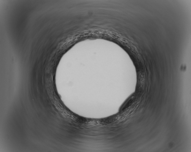 X0000099961489200806201324