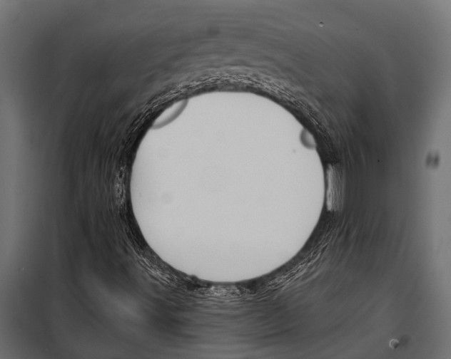 X0000099961491200806201325