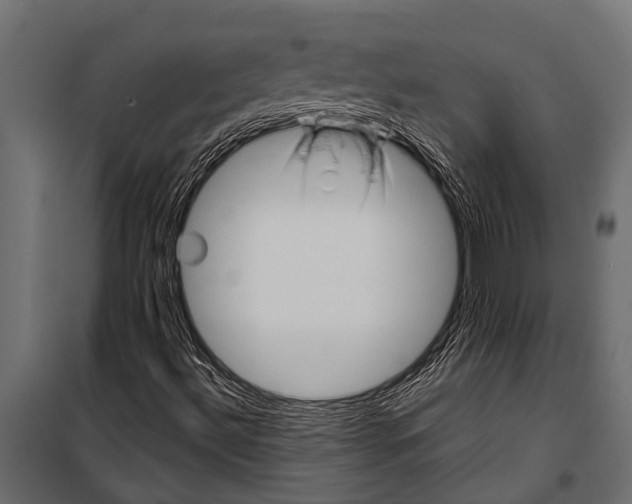 X0000099961492200806201325