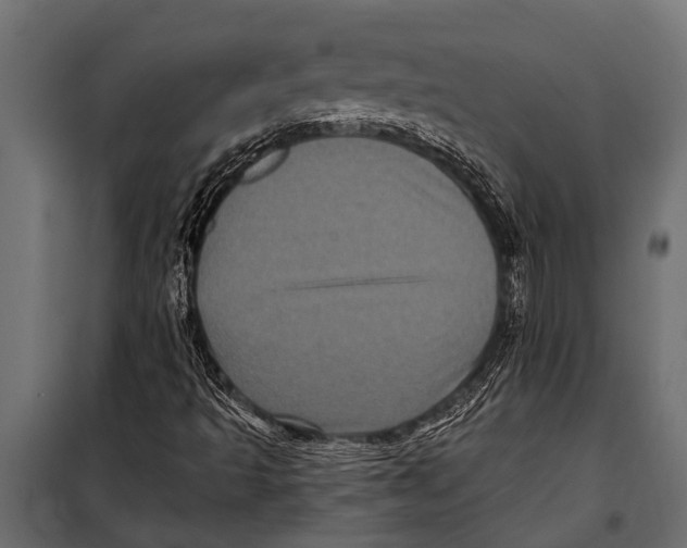 X0000099961493200806201325