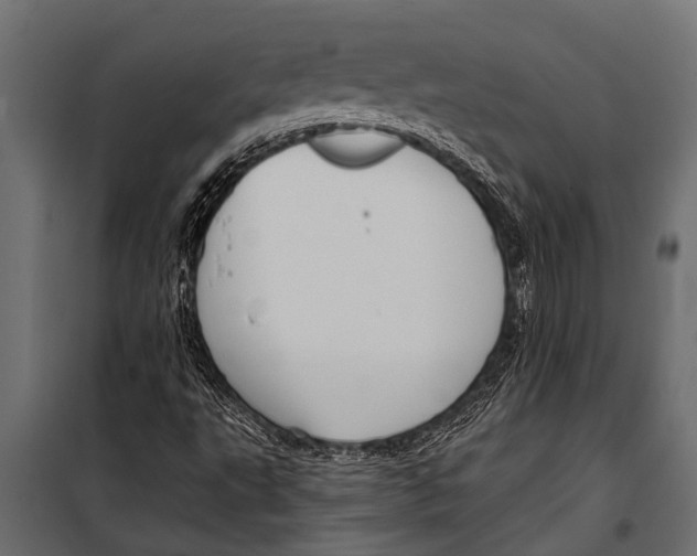 X0000099961495200806201325