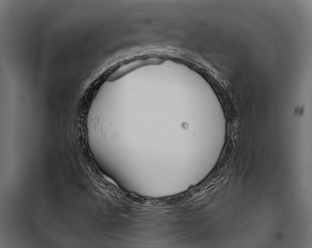 X0000099961496200806201325