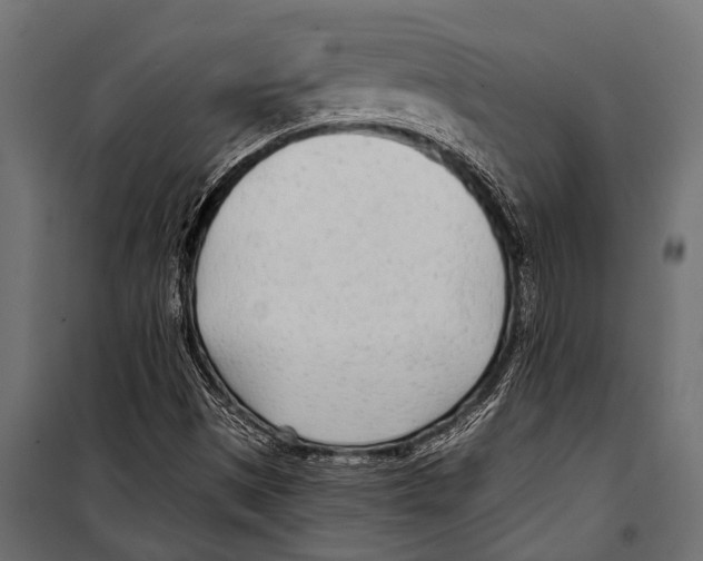 X0000099961497200806201325