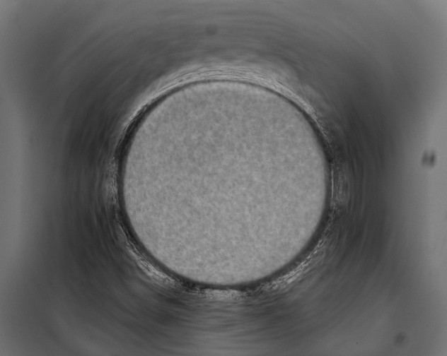 X0000099961498200806201325