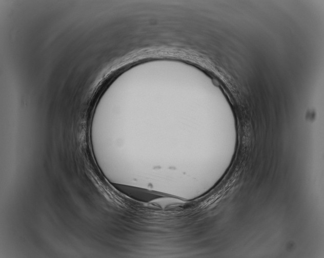 X0000099961499200806201325