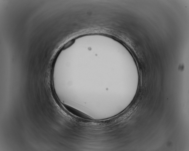 X0000099961500200806201325