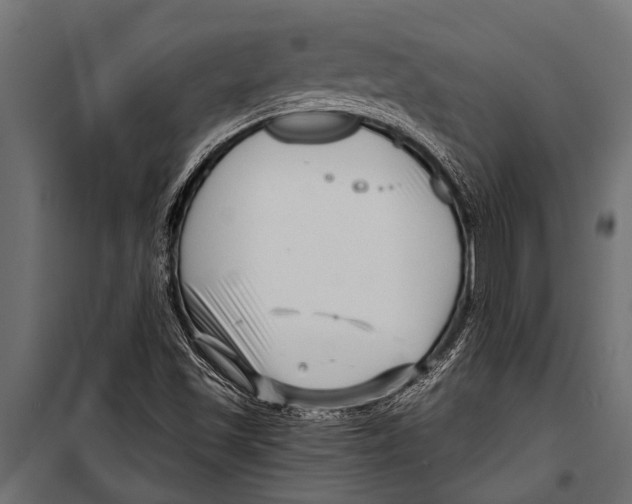 X0000099961501200806201325