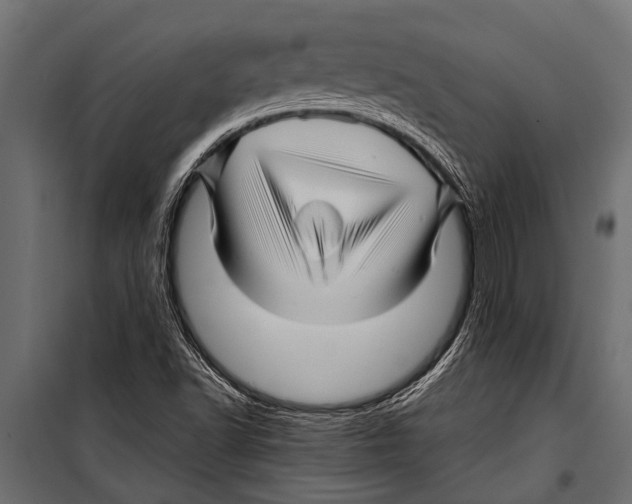 X0000099961502200806201325