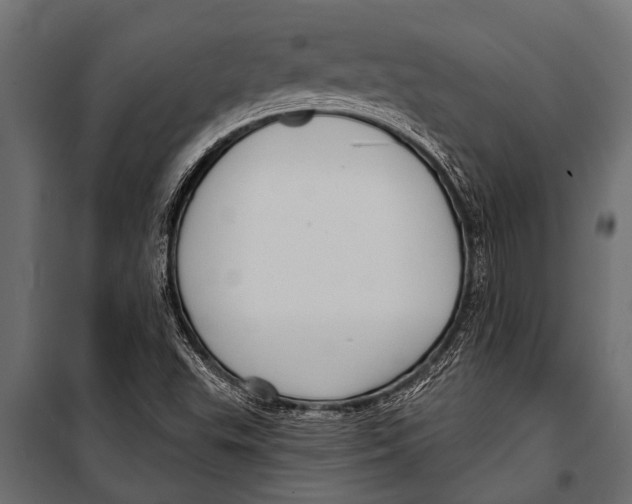 X0000099961503200806201325