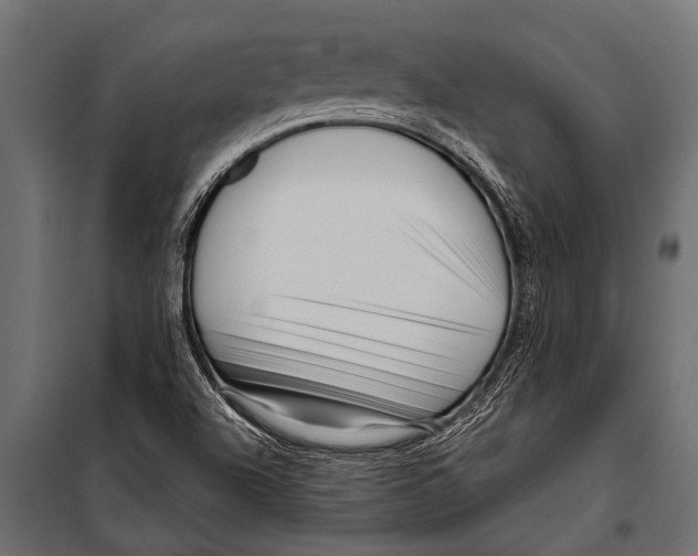 X0000099961504200806201325