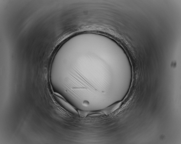 X0000099961505200806201325