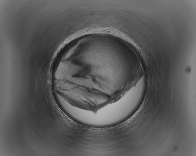 X0000099961506200806201325