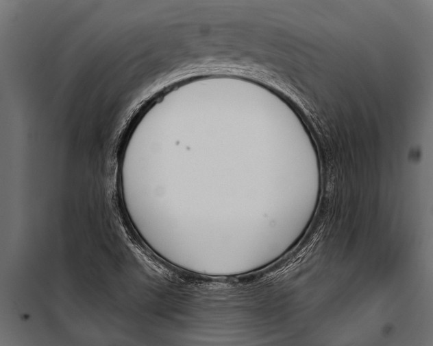 X0000099961507200806201325