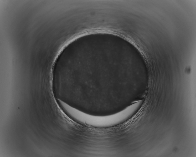 X0000099961508200806201325