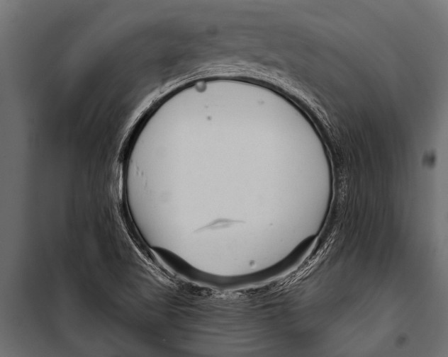 X0000099961509200806201325