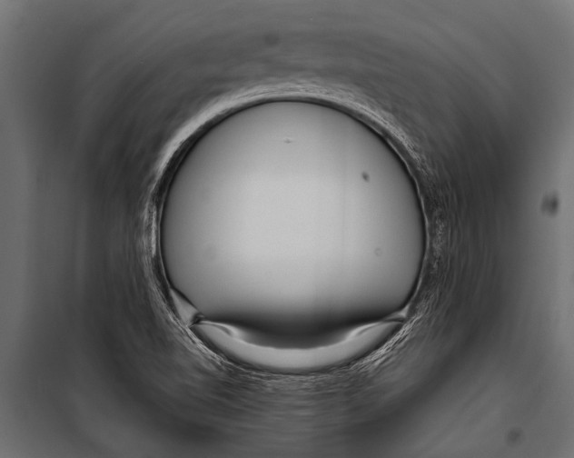 X0000099961510200806201325