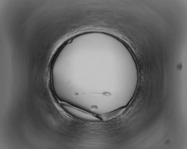 X0000099961511200806201325