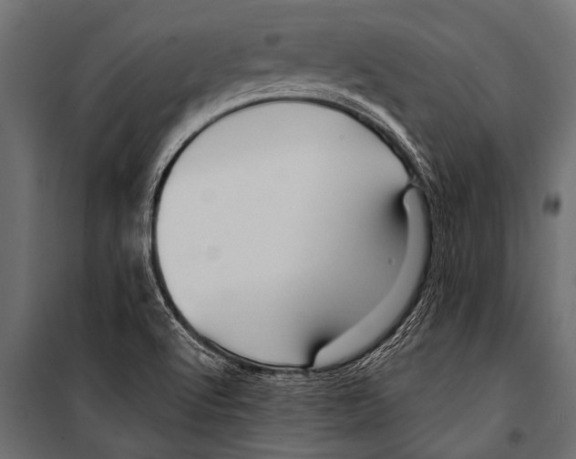 X0000099961512200806201325