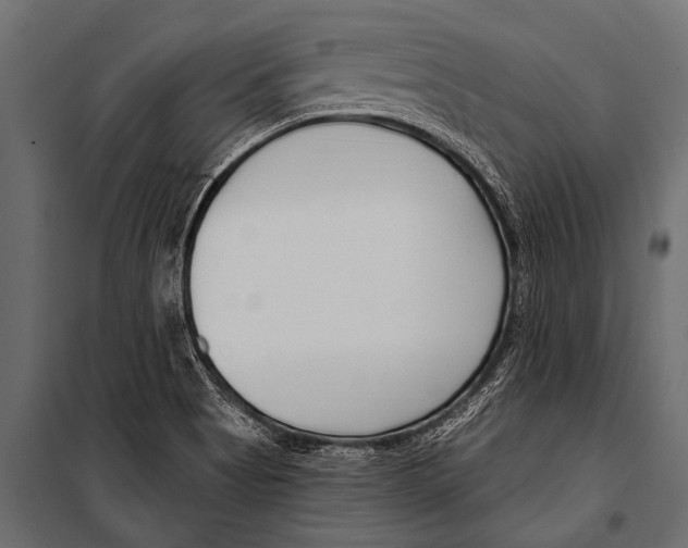 X0000099961513200806201325