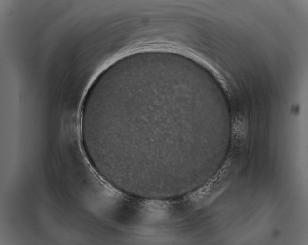 X0000099961514200806201325