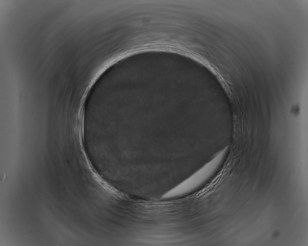 X0000099961515200806201325