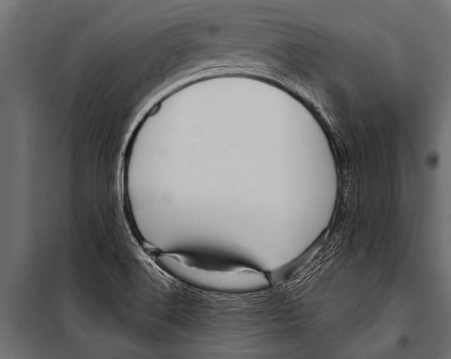 X0000099961516200806201325