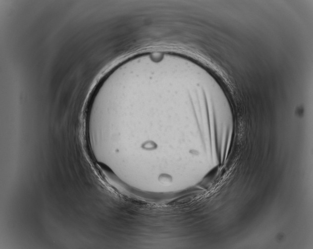 X0000099961517200806201325