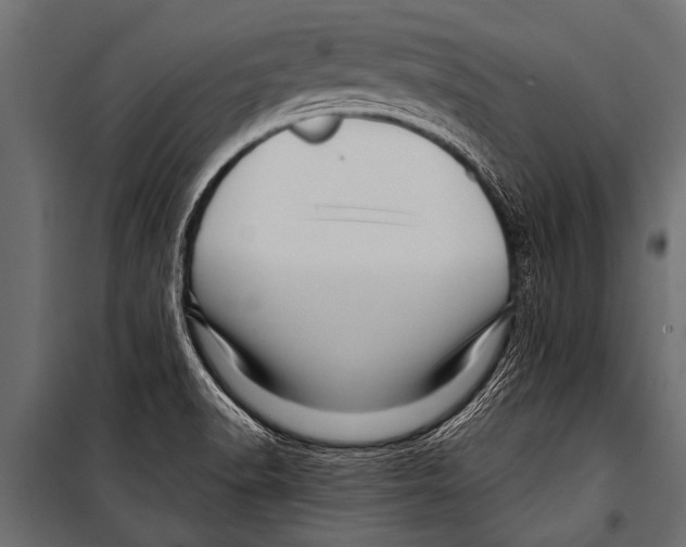 X0000099961518200806201325