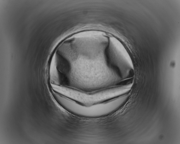 X0000099961519200806201325