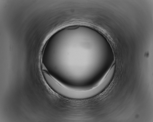 X0000099961520200806201325