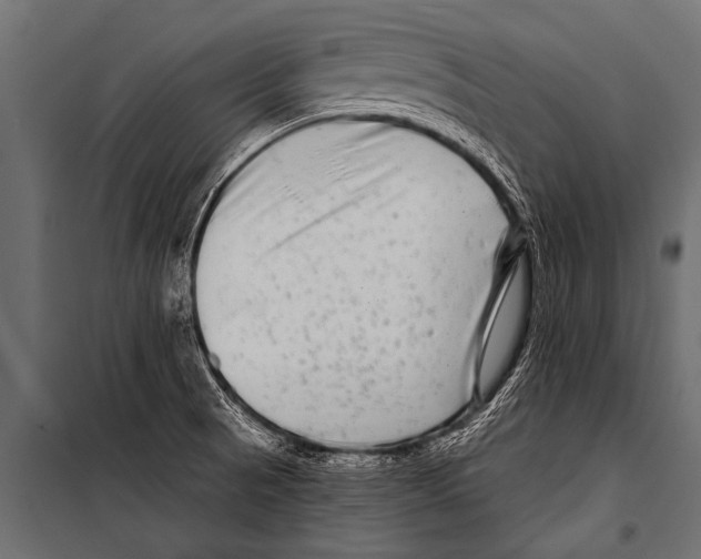 X0000099961521200806201325