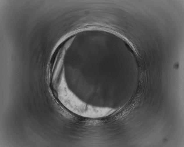 X0000099961522200806201325