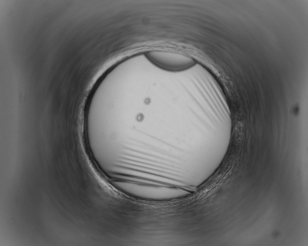 X0000099961523200806201325