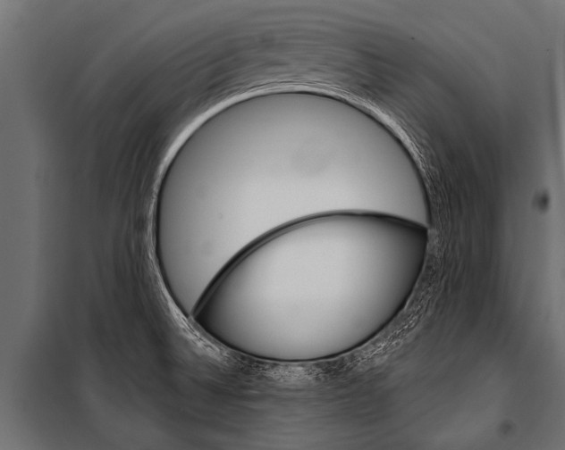 X0000099961524200806201325