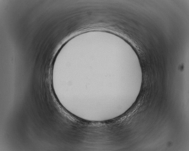 X0000099961526200806201325