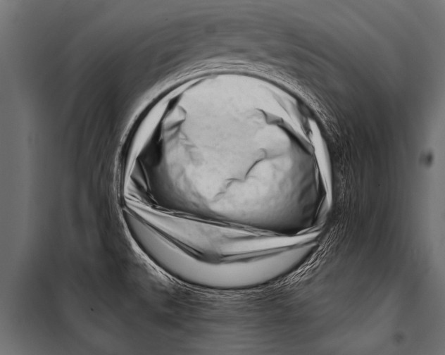 X0000099961527200806201325